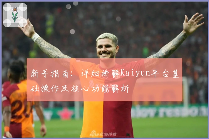 新手指南：详细讲解Kaiyun平台基础操作及核心功能解析